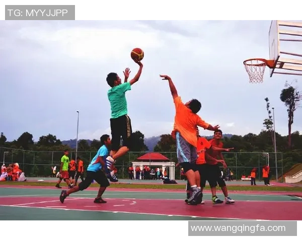 姚明观赛马丁精彩表现引发篮球界热议与期待