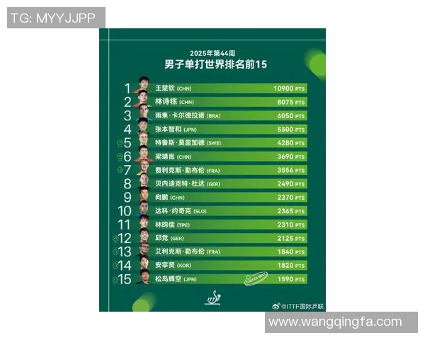 全球体育明星最新国际排名榜揭晓引发热议与关注