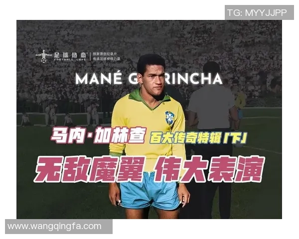 全球足球明星的辉煌成就与传奇人生简介