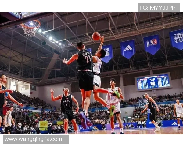 与会同篮球明星共聚一堂畅谈篮球梦想与未来发展之路